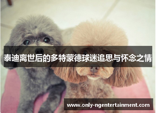 泰迪离世后的多特蒙德球迷追思与怀念之情 泰迪离世后的多特蒙德球迷追思与怀念之情