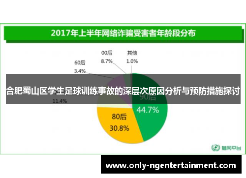 合肥蜀山区学生足球训练事故的深层次原因分析与预防措施探讨