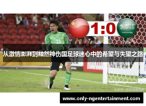 从激情澎湃到黯然神伤国足球迷心中的希望与失望之路